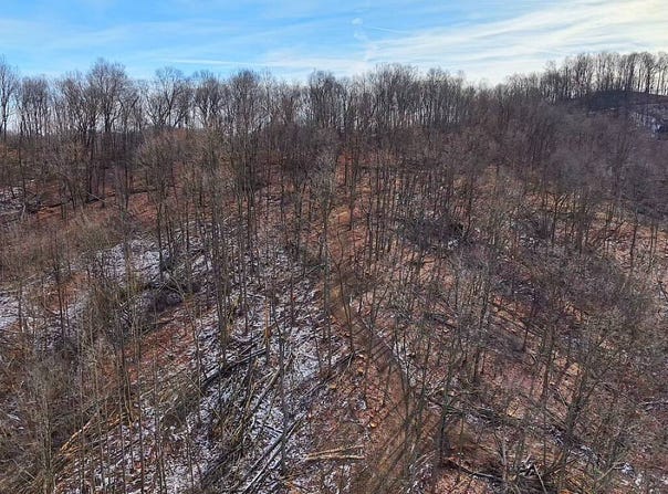 789  Moats Hollow Road, Waverly, OH 45690