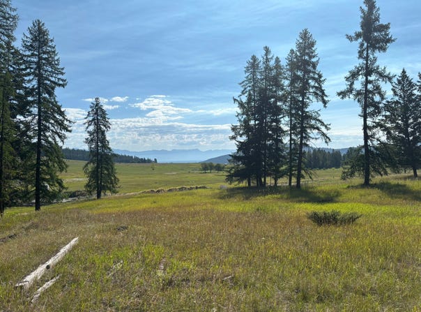 692 Morning View Drive, Kalispell, MT 59901