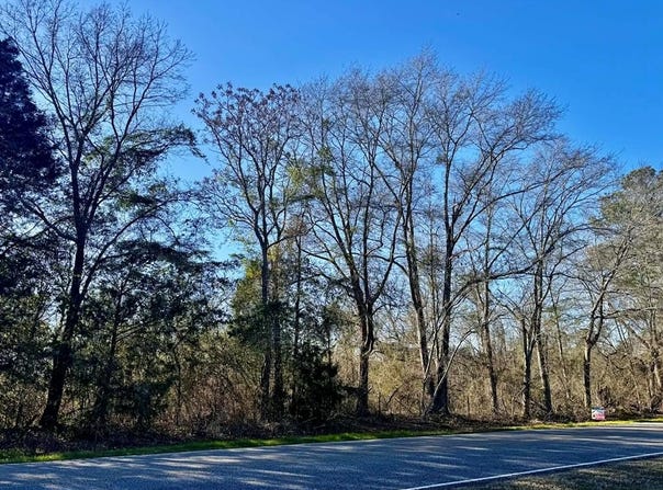 Needmore, TROY, AL 36081