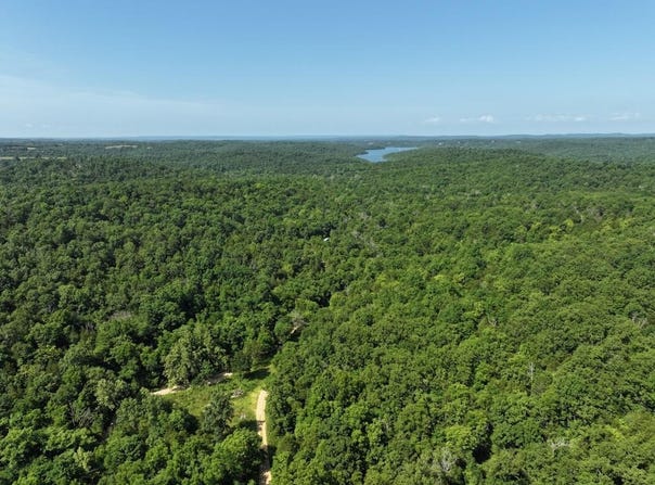 County Road 630, Gainesville, MO 65655