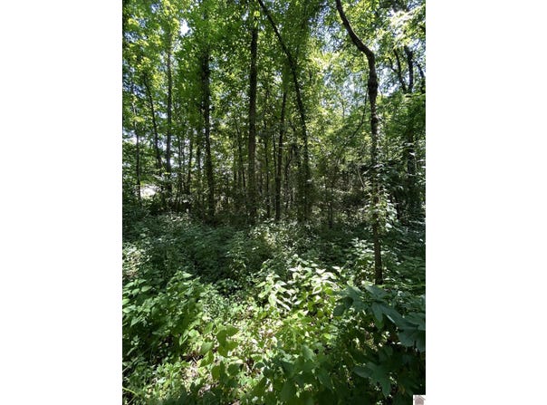 000 Maple Lane, Canton, KY 42211