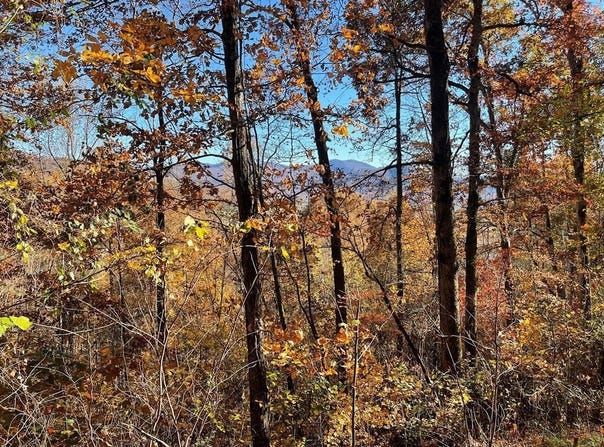 36 54C Ash Branch Circle, HAYESVILLE, NC 28904