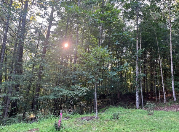 TBD Cranberry Creek Road, Laurel Springs, NC 28644
