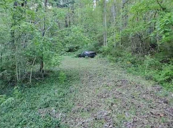 217 Coal Chute Road, Elizabethton, TN 37643