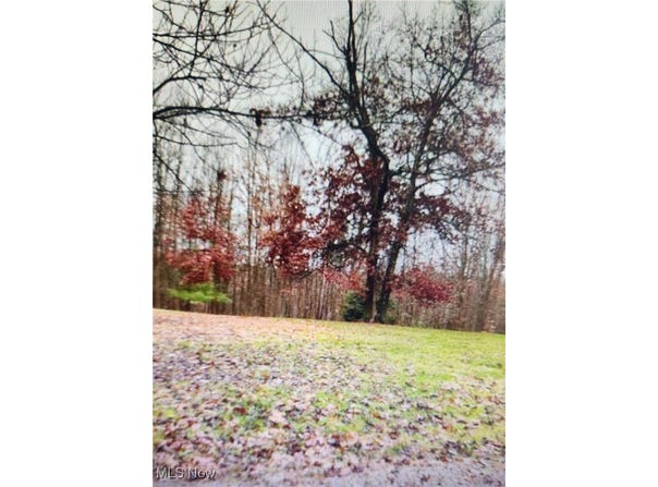 Okey Road, Chandlersville, OH 43727