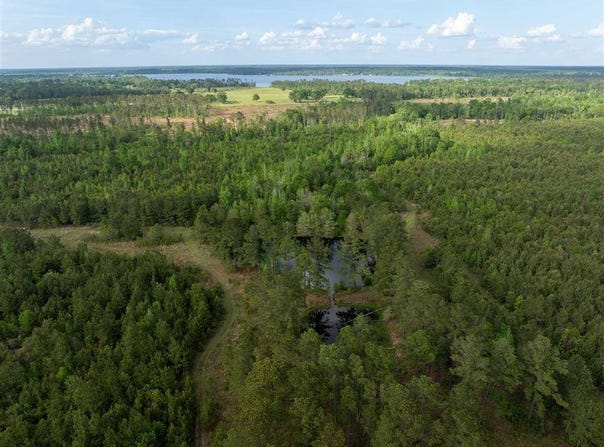 0 Odis Greene Road, DeRidder, LA 70634