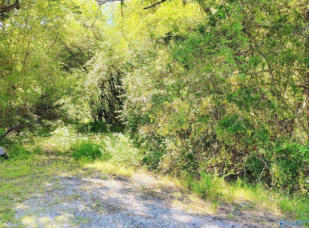 7725 Lavender Road, Adger, AL 35006