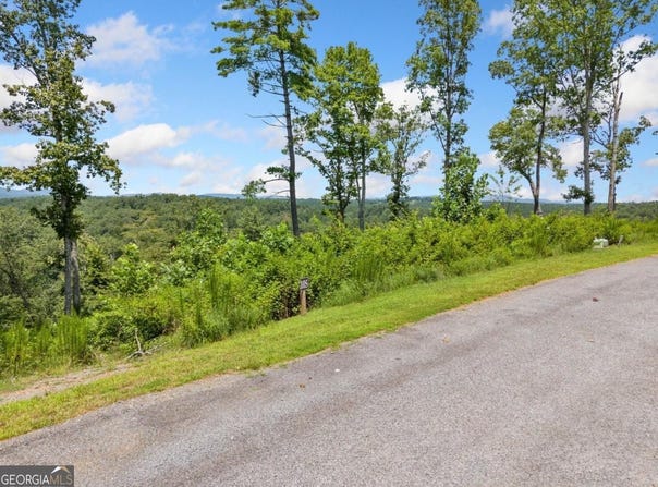 105 River Knoll, Ellijay, GA 30540