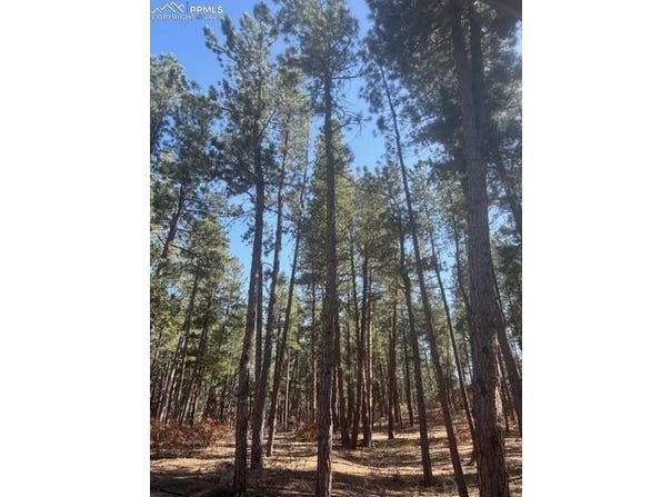 560 Princess Road, Cripple Creek, CO 80813