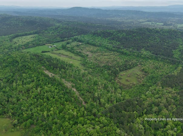 Tract 4-TBD Ryan Road, Oden, AR 71961