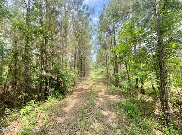 Henry Harris Road, Utica, MS 39175