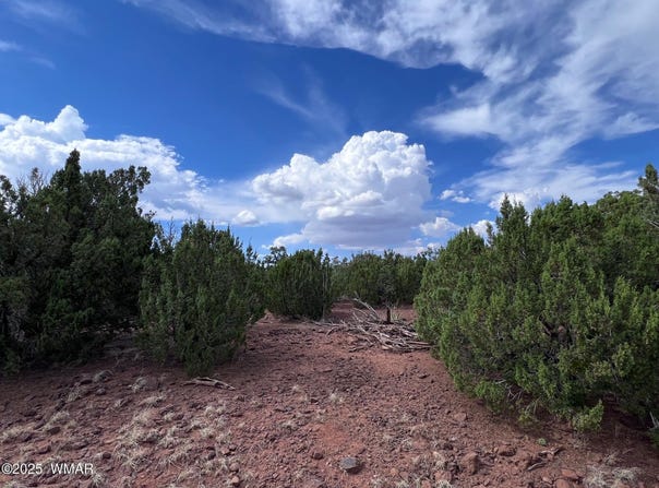 000 Antelope Road, Show Low, AZ 85901