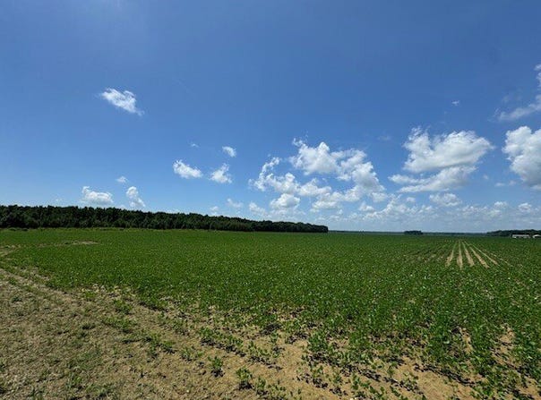 000 Pump Street, Des Arc, AR 72040