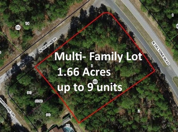 9223 N Bertin Drive, Citrus Springs, FL 34434