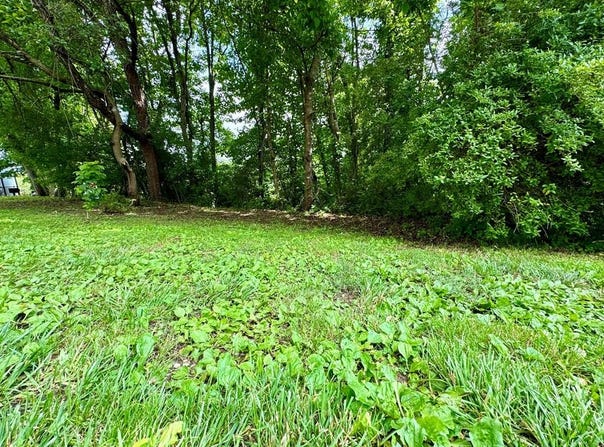 0 Watermelon Hill Road, Louisa, KY 41230