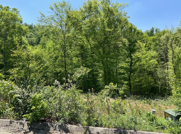 Lot 32 Timber Creek Rd, Maynardville, TN 37807