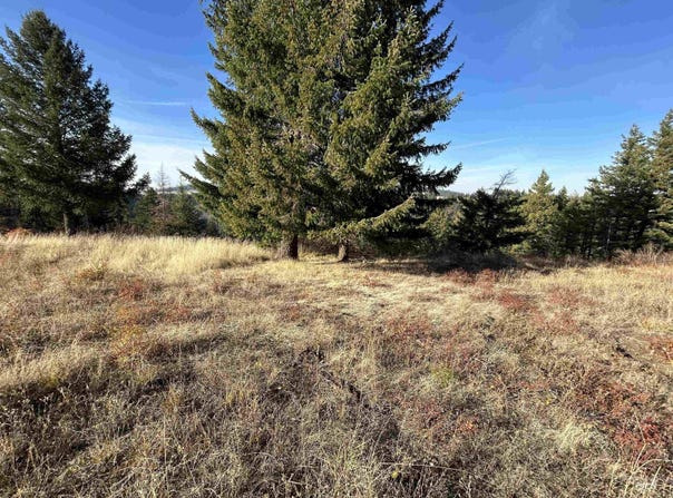 30478 W Juniper Cir, Worley, ID 83876