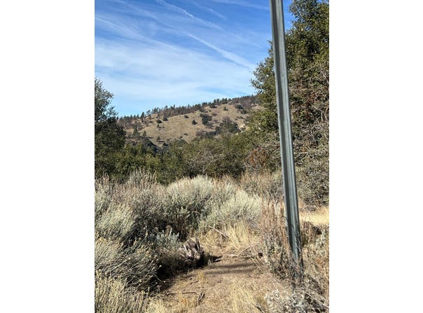 25301 paramount Drive, Tehachapi, CA 93561