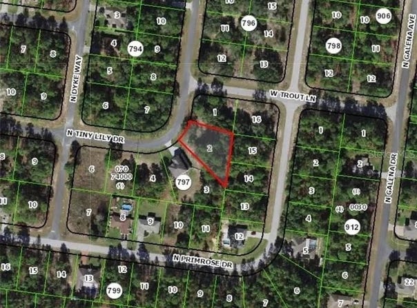 7991 N TINY LILY DRIVE, CITRUS SPRINGS, FL 34434