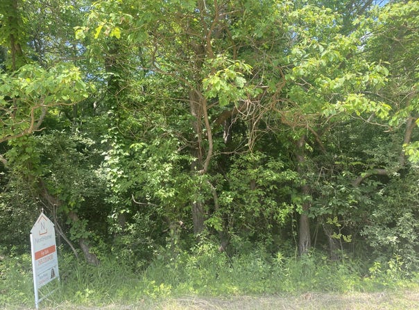V/L N 55th Street-B, Grand Junction, MI 49056