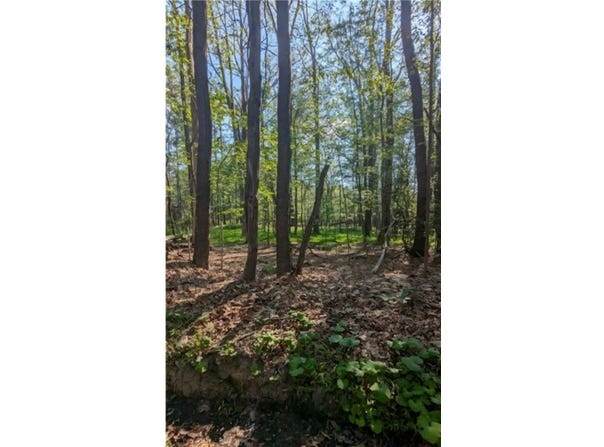 4 Horse Shoe Bend Rd, Bullskin Twp, PA 15610