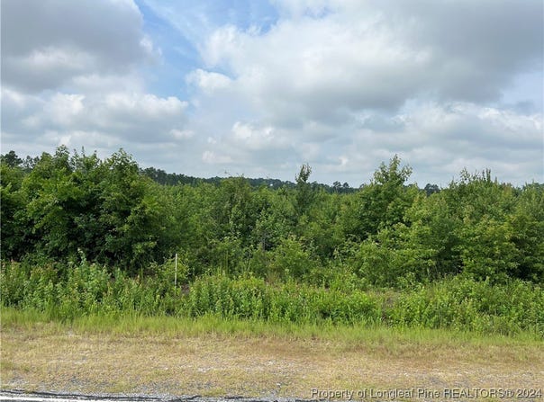 Parkton/Tobermory Road, Parkton, NC 28371