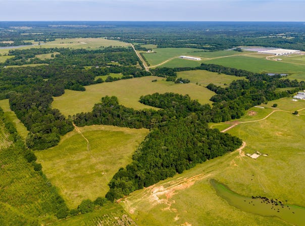 13888 FM 556, Pittsburg, TX 75686
