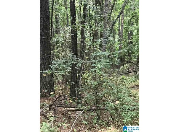 S LAKESIDE LANE, ALPINE, AL 35014