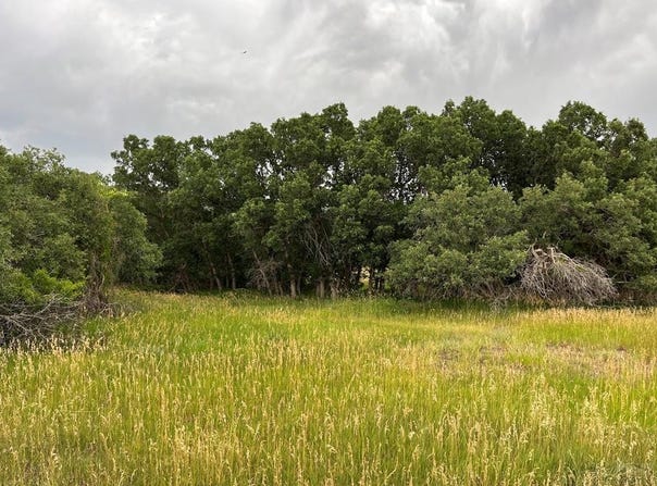 Byzon Court, Colorado City, CO 81019