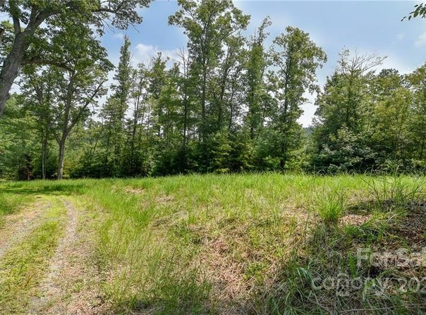 301 The Vines Boulevard unit: 20, Marshall, NC 28753