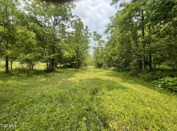 1028 East Pumpkin Valley Road, Eidson, TN 37731