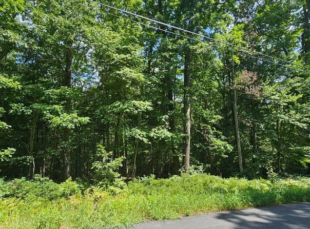 Lot 23.23 Perry Pond Road, Tusten, NY 12764