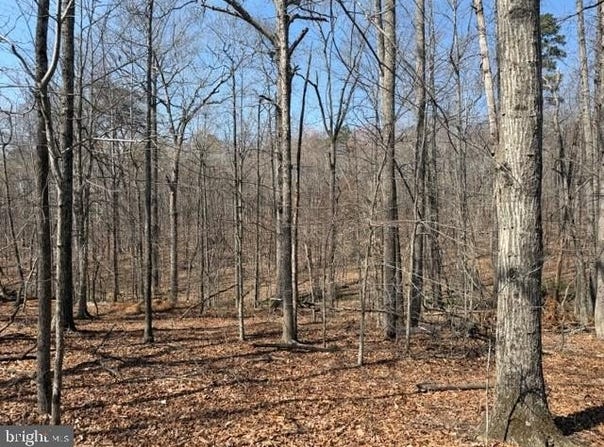 COUNTRYSIDE LANE - LOT 3, LIGNUM, VA 22726