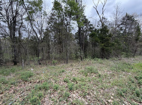 001 Holiday Hills Drive, Cape Fair, MO 65624