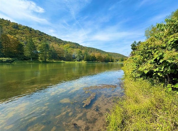 10-48 Evans Road, HANCOCK, NY 13783