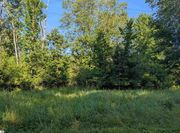 N/A Crawford Road, Omer, MI 48749