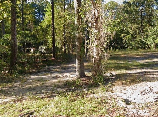 238 Pineneedle Circle, Johnsonville, SC 29555