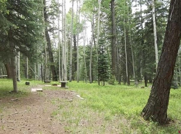191 Aspen Trail, Cimarron, CO 81220
