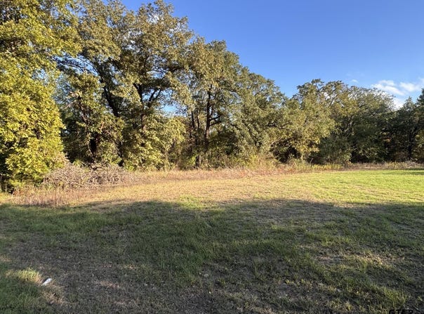 1160 Pearl Harbor St, Tool, TX 75143