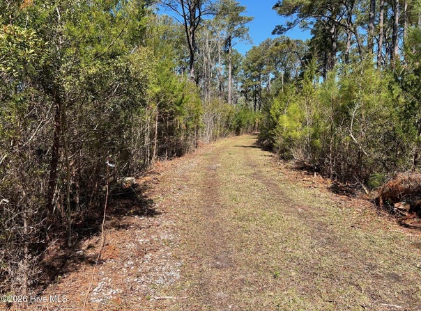150 Styron Creek Road, Sea Level, NC 28577