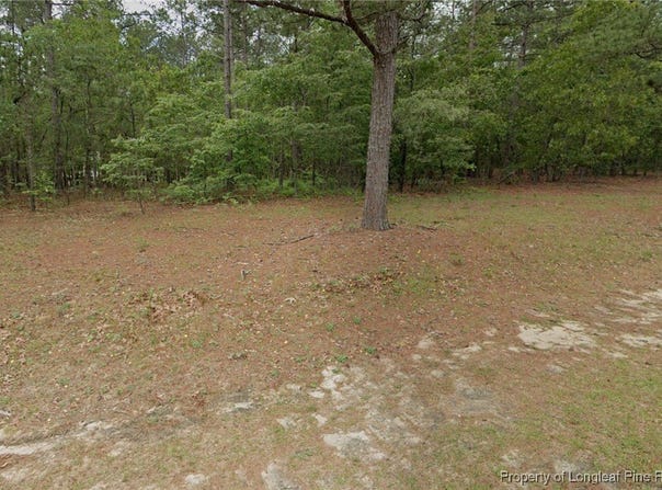 29 Peach Orchard Road, Wagram, NC 28396
