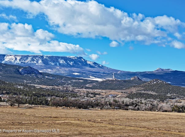 12482 54 7/10 Road, Collbran, CO 81624