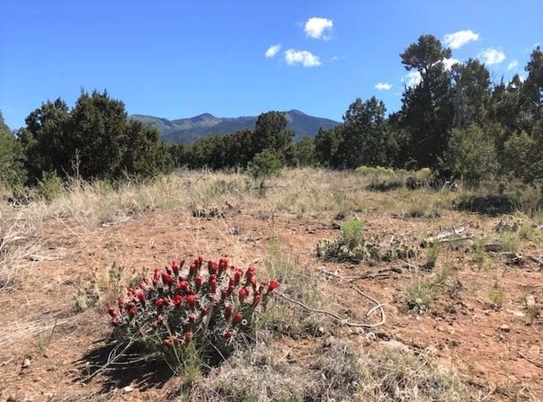 Duval Rd lot: 17, Valdez, NM 87580