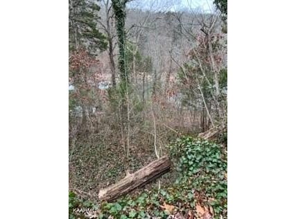 Indian River Boat Dock Rd, Jacksboro, TN 37757