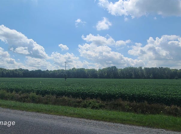 VL W Birch Run, Burt, MI 48614