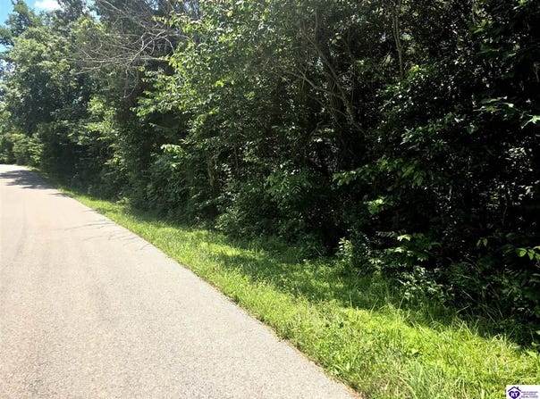 Tract 2 Johnson Harris School Road, Rineyville, KY 40162