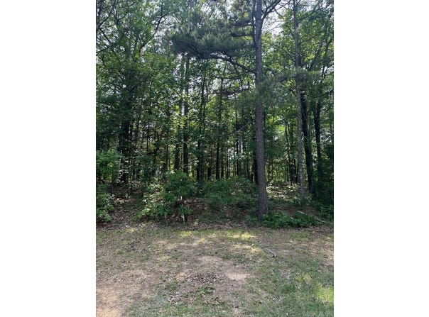 Lot 91 Block 15 Dave Creek Parkway, Fairfield Bay, AR 72088