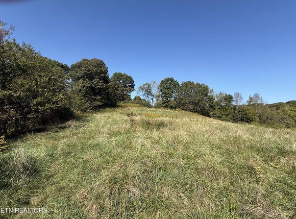 426 Foster Rd, Lenoir City, TN 37771