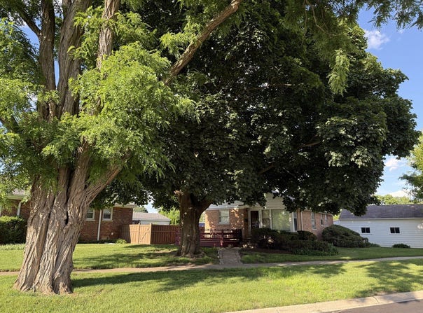 344 E Parallel Street, Palatine, IL 60067
