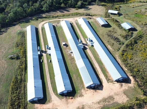 226 Pine Burr RD, LUMBERTON, MS 39455